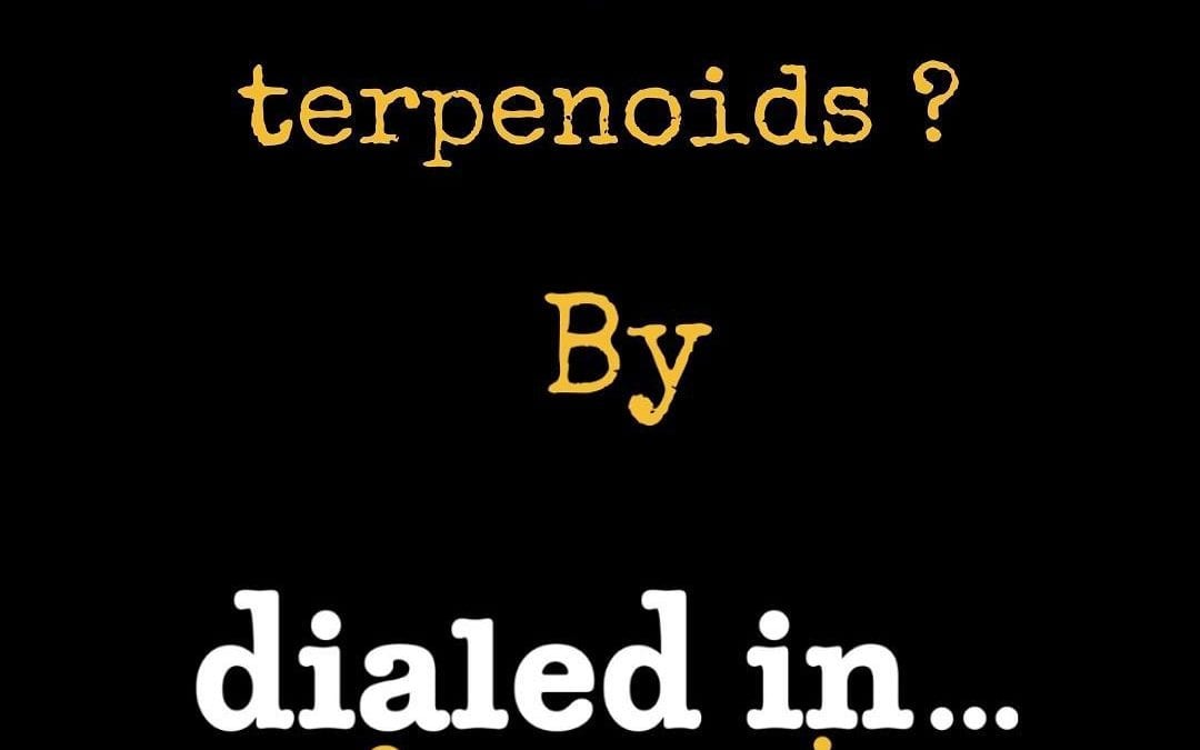 What are Terpenoids?