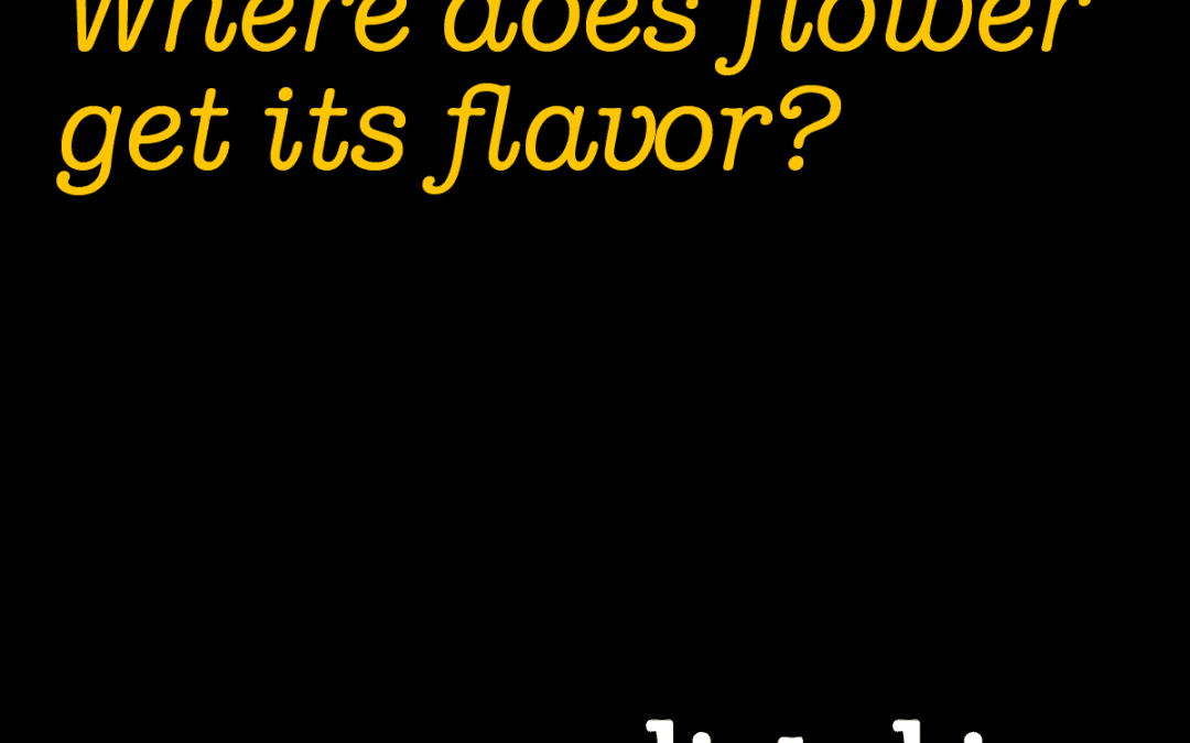Where does flower get its flavor?
