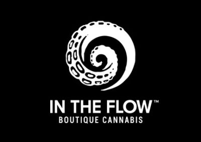 In the Flow